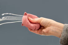 Load image into Gallery viewer, SiliSoft Animal bath/water Squirter (Earth) 4pk