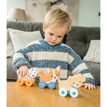 Load image into Gallery viewer, Puppy Push Toys 3pk