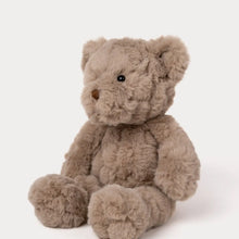 Load image into Gallery viewer, Teddy Bear