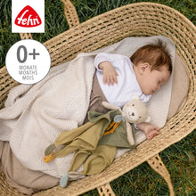 Load image into Gallery viewer, Bear Comforter