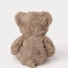 Load image into Gallery viewer, Teddy Bear