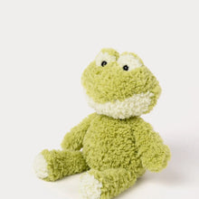 Load image into Gallery viewer, Frog Soft Toy