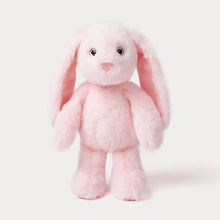 Load image into Gallery viewer, Bunny Soft Toy - Rosie