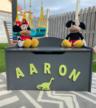 Load image into Gallery viewer, Toy Box Personalisation