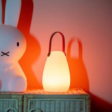 Load image into Gallery viewer, Sensory Glow Lantern
