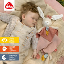 Load image into Gallery viewer, Bunny Cuddly Cloth Comforter
