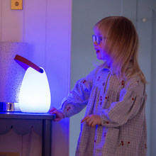 Load image into Gallery viewer, Sensory Glow Lantern
