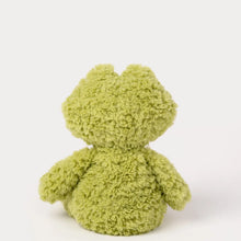 Load image into Gallery viewer, Frog Soft Toy
