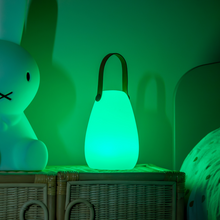 Load image into Gallery viewer, Sensory Glow Lantern
