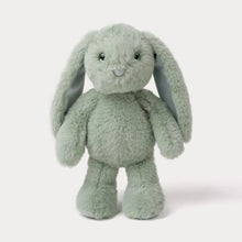 Load image into Gallery viewer, Bunny Soft Toy - Ivy
