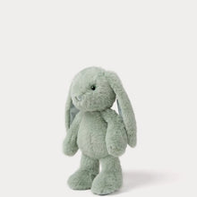 Load image into Gallery viewer, Bunny Soft Toy - Ivy
