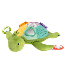 Load image into Gallery viewer, XL Activity Sea Turtle
