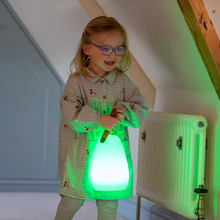Load image into Gallery viewer, Sensory Glow Lantern
