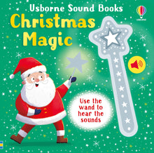 Load image into Gallery viewer, Christmas Magic - picture book
