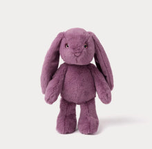 Load image into Gallery viewer, Bunny Soft Toy - Dahlia
