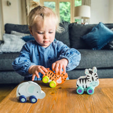 Load image into Gallery viewer, Zebra Wooden Push Toy
