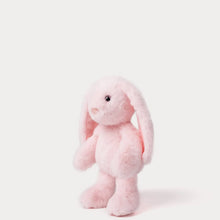 Load image into Gallery viewer, Bunny Soft Toy - Rosie
