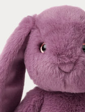Load image into Gallery viewer, Bunny Soft Toy - Dahlia
